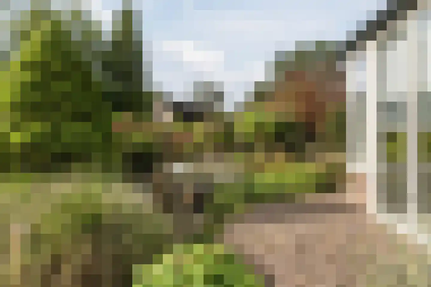 Het Lage Holt 12 Hoogeveen thumbnail 52