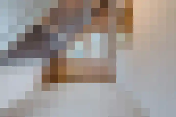 Het Lage Holt 12 Hoogeveen thumbnail 53