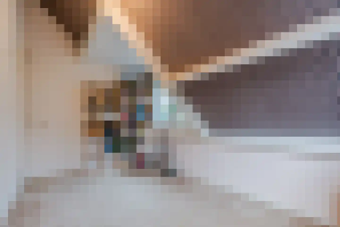 Het Lage Holt 12 Hoogeveen thumbnail 54