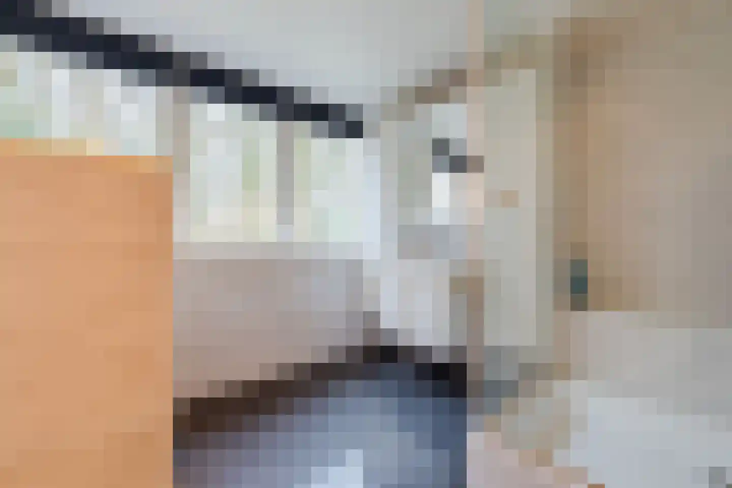 Het Lage Holt 12 Hoogeveen thumbnail 55