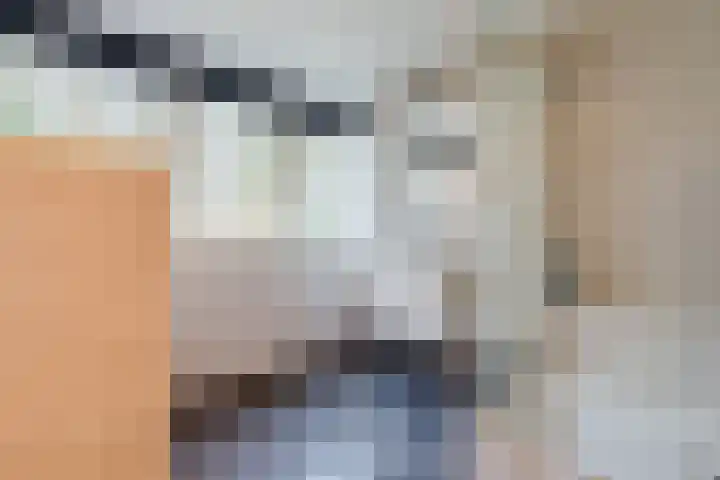 Het Lage Holt 12 Hoogeveen thumbnail 55