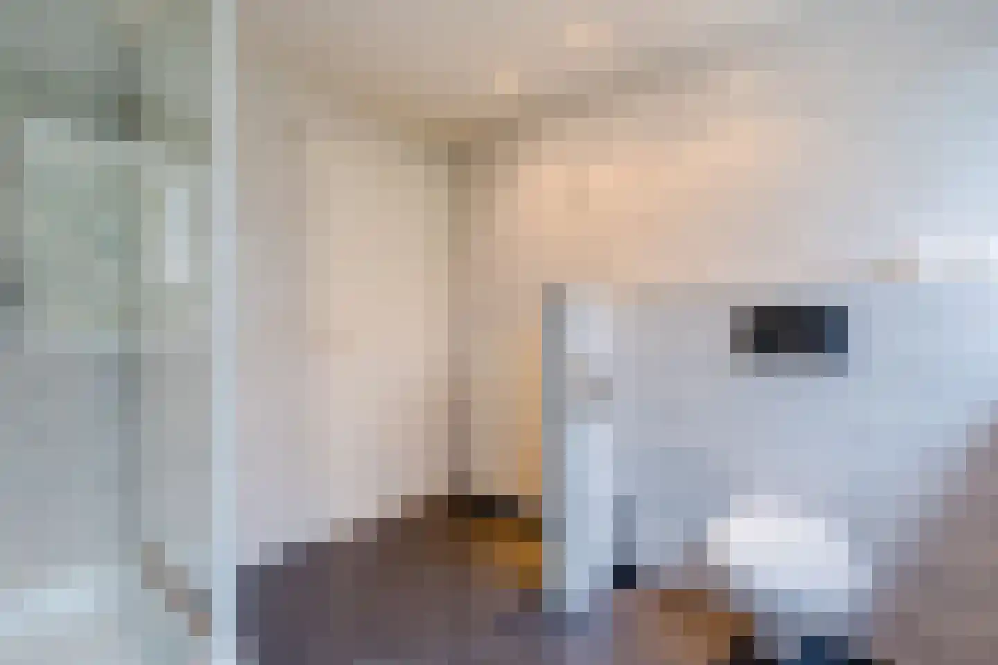 Het Lage Holt 12 Hoogeveen thumbnail 58