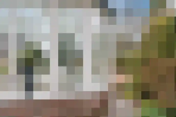 Het Lage Holt 12 Hoogeveen thumbnail 62