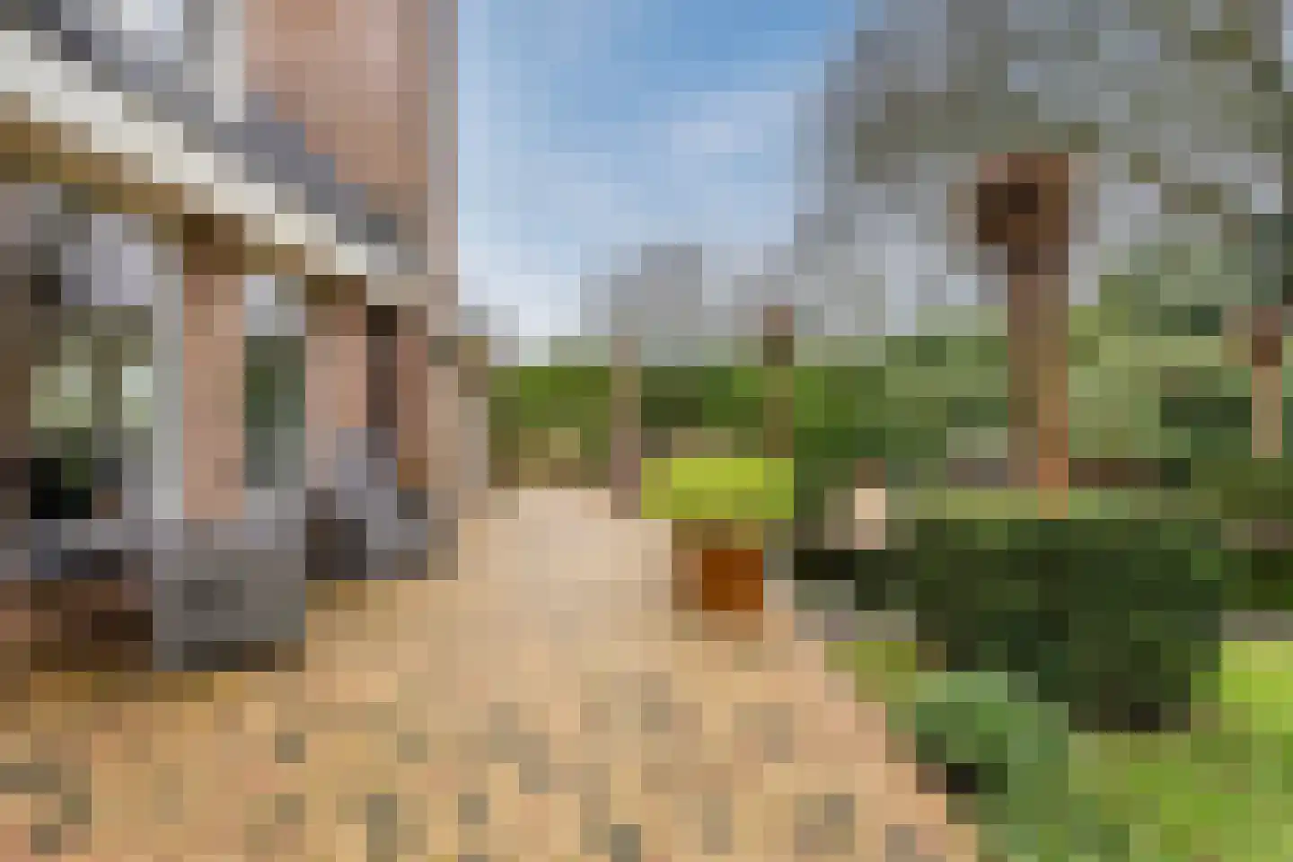 Het Lage Holt 12 Hoogeveen thumbnail 63