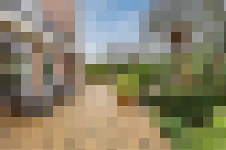 Het Lage Holt 12 Hoogeveen thumbnail 63