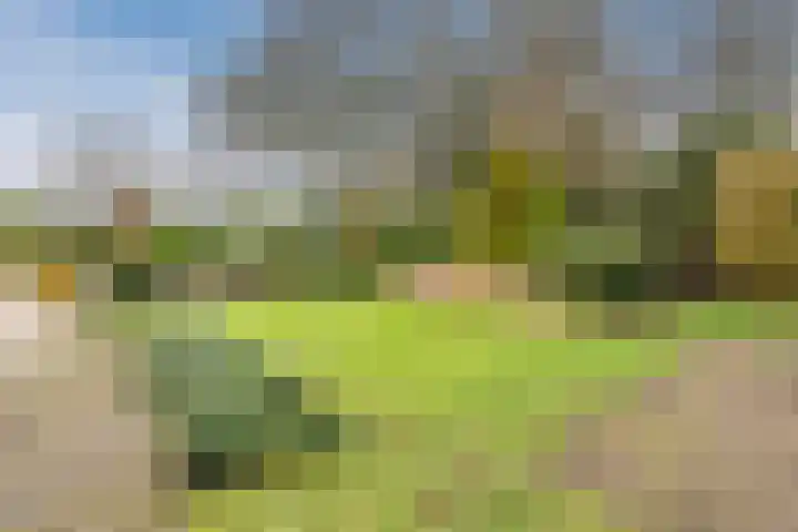 Het Lage Holt 12 Hoogeveen thumbnail 64