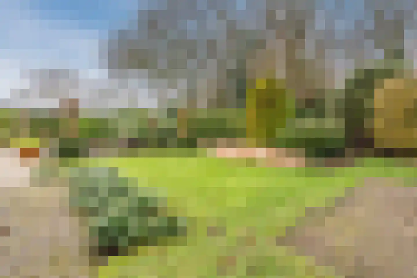 Het Lage Holt 12 Hoogeveen thumbnail 64