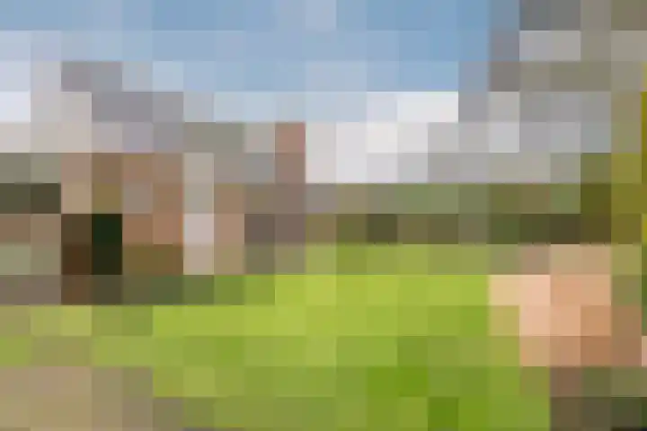 Het Lage Holt 12 Hoogeveen thumbnail 65
