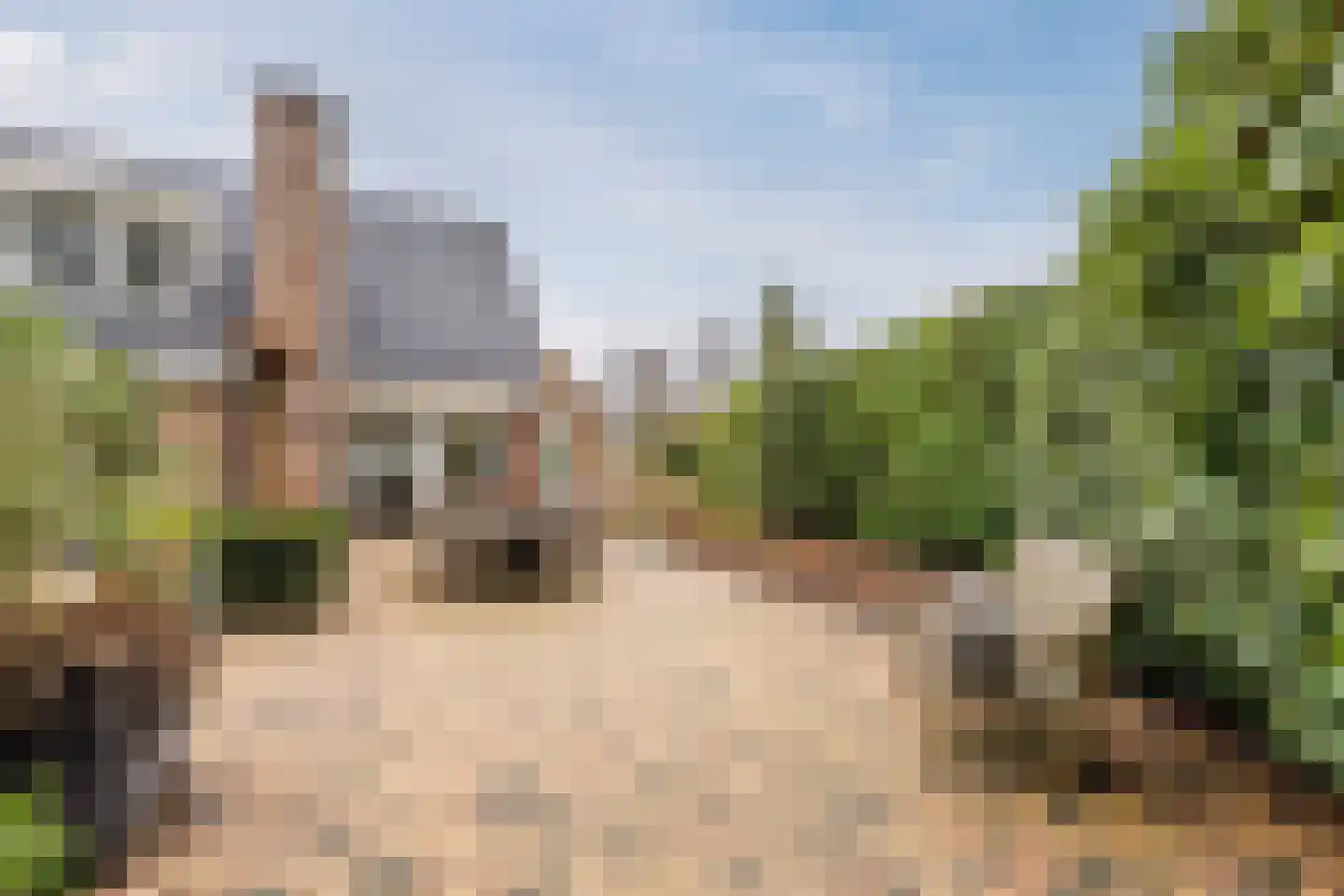 Het Lage Holt 12 Hoogeveen thumbnail 66