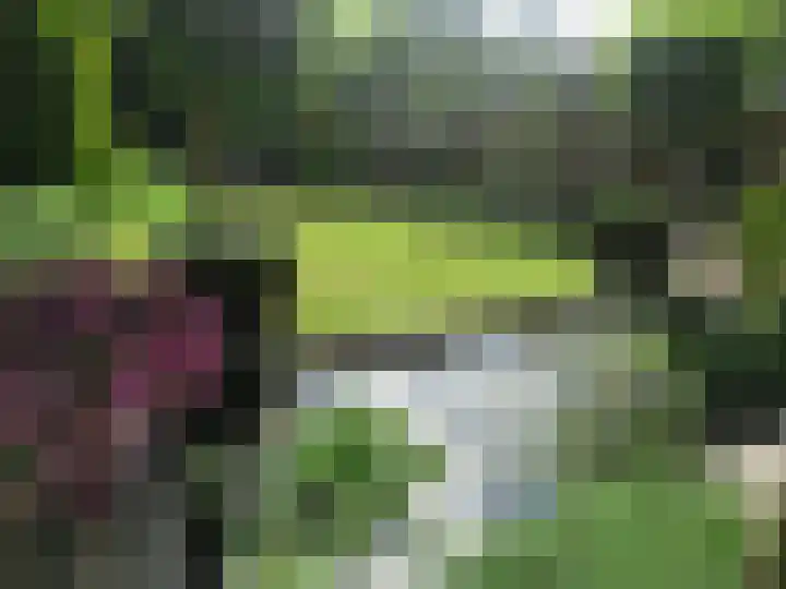Het Lage Holt 12 Hoogeveen thumbnail 67