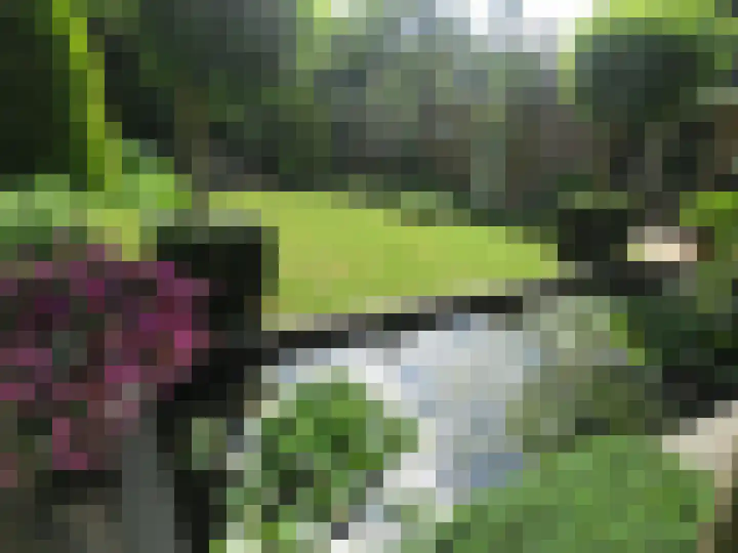 Het Lage Holt 12 Hoogeveen thumbnail 67