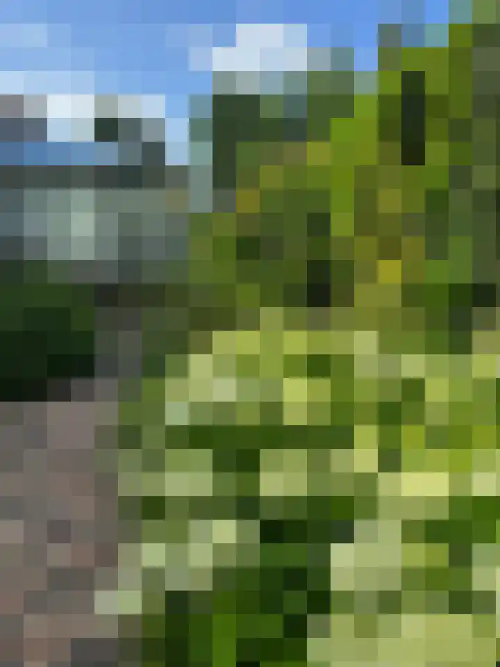 Het Lage Holt 12 Hoogeveen thumbnail 68