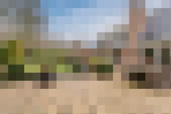 Het Lage Holt 12 Hoogeveen thumbnail 69