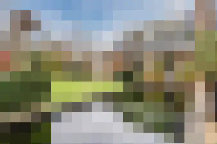 Het Lage Holt 12 Hoogeveen thumbnail 70