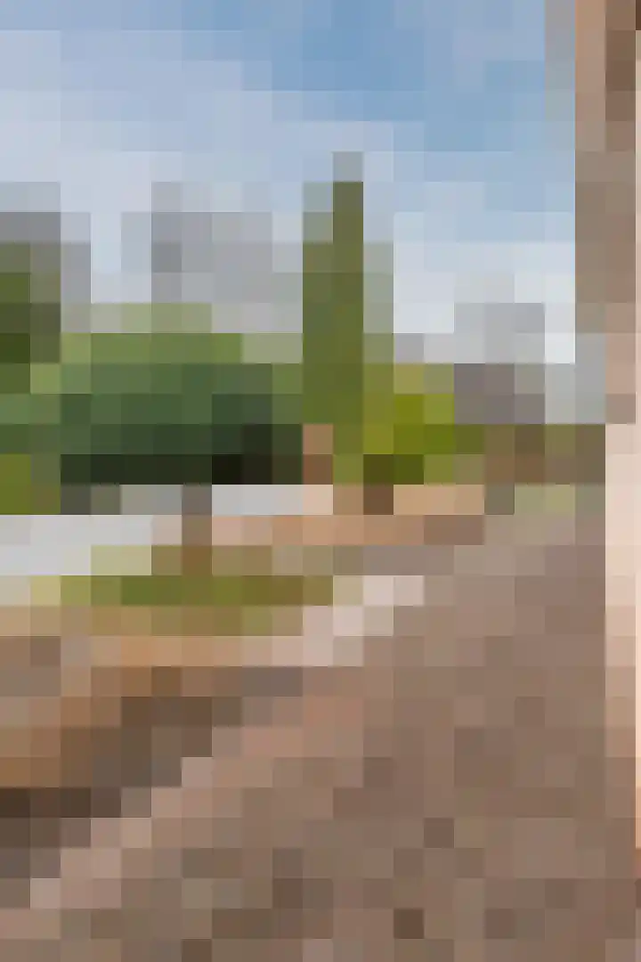 Het Lage Holt 12 Hoogeveen thumbnail 8