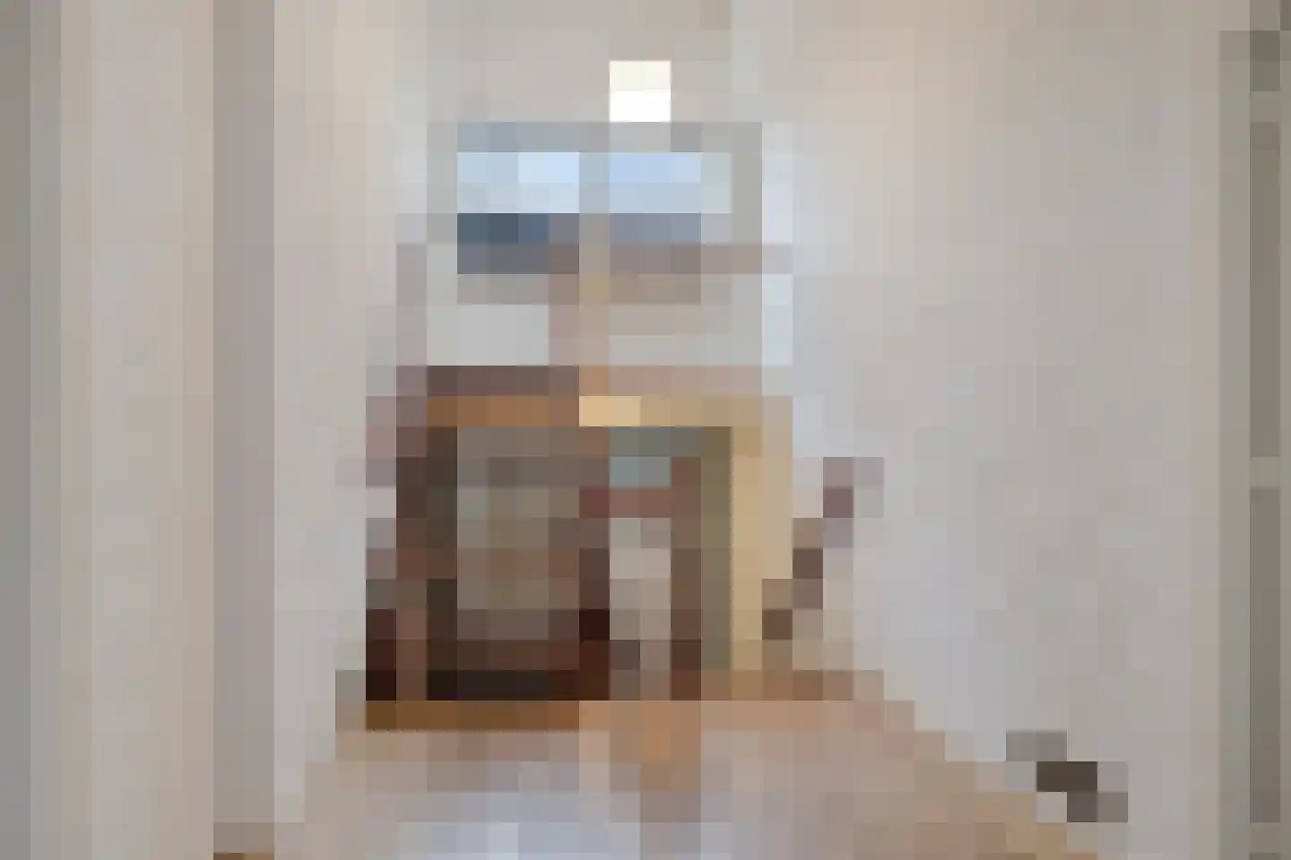 Het Lage Holt 14 Hoogeveen thumbnail 19