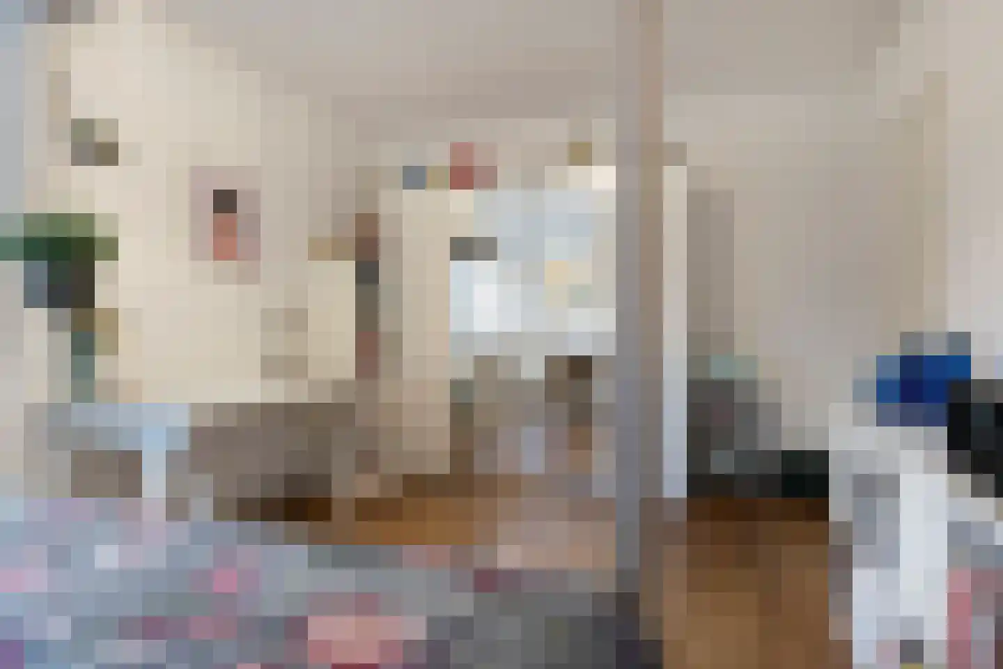 Het Lage Holt 14 Hoogeveen thumbnail 21