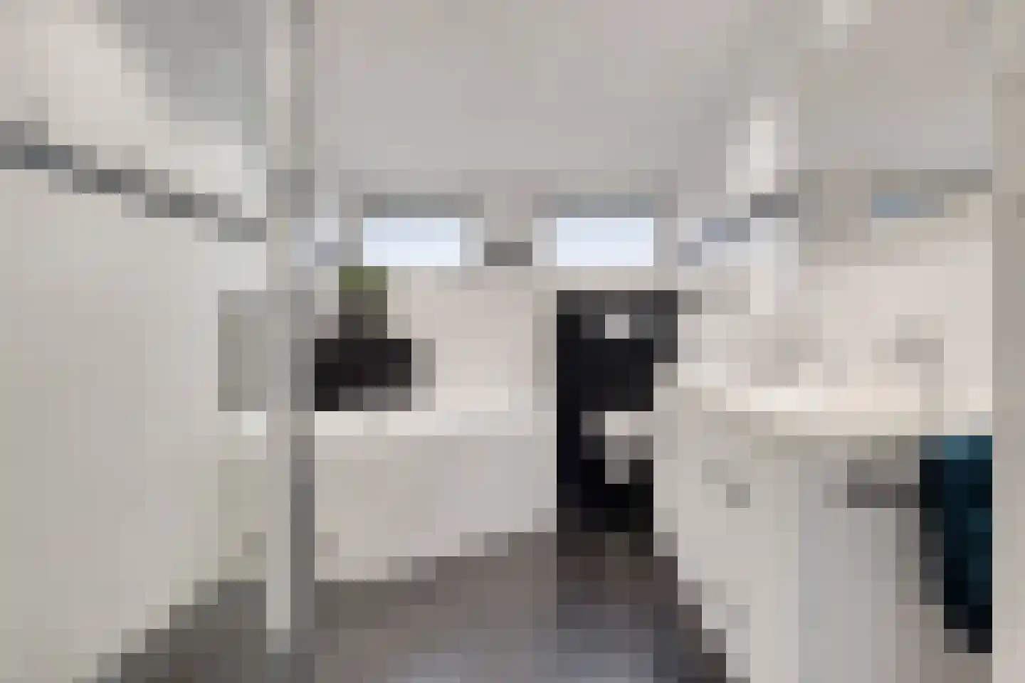 Het Lage Holt 14 Hoogeveen thumbnail 22