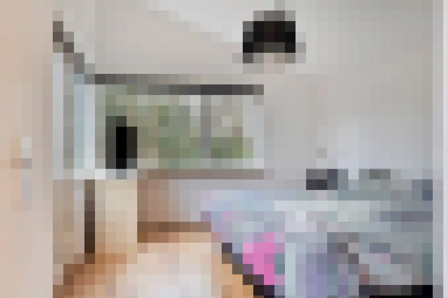 Het Lage Holt 14 Hoogeveen thumbnail 26