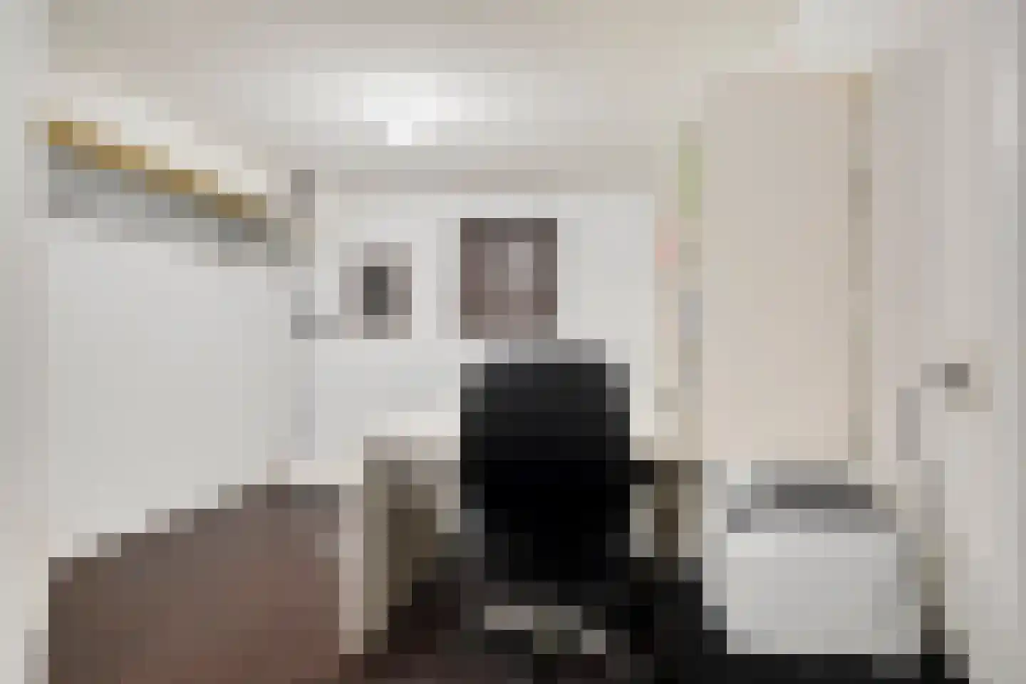 Het Lage Holt 14 Hoogeveen thumbnail 30