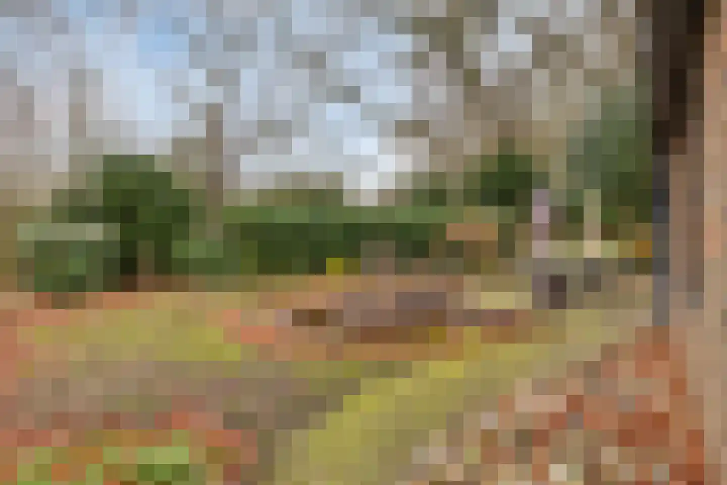 Het Lage Holt 14 Hoogeveen thumbnail 37
