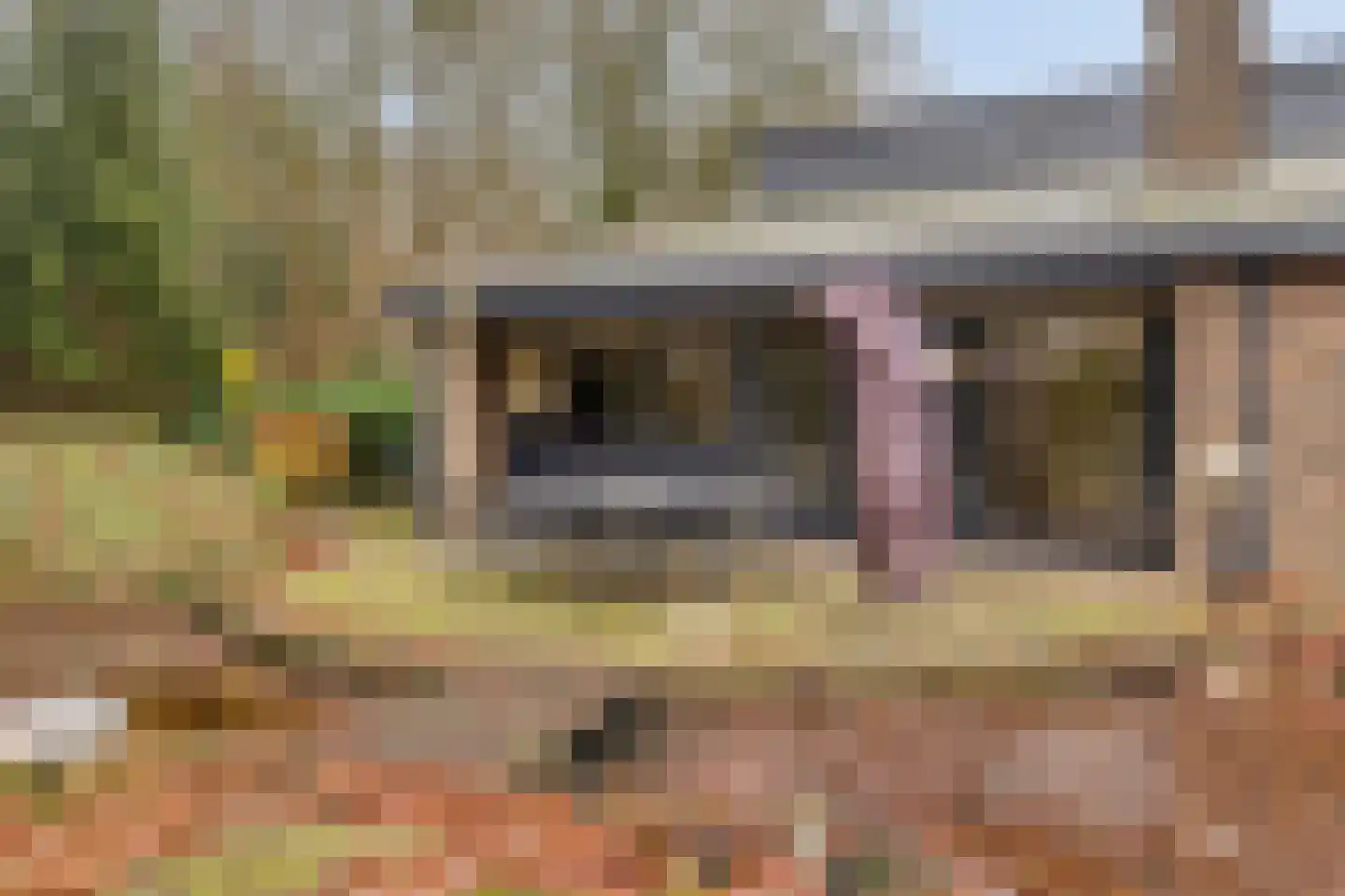 Het Lage Holt 14 Hoogeveen thumbnail 38