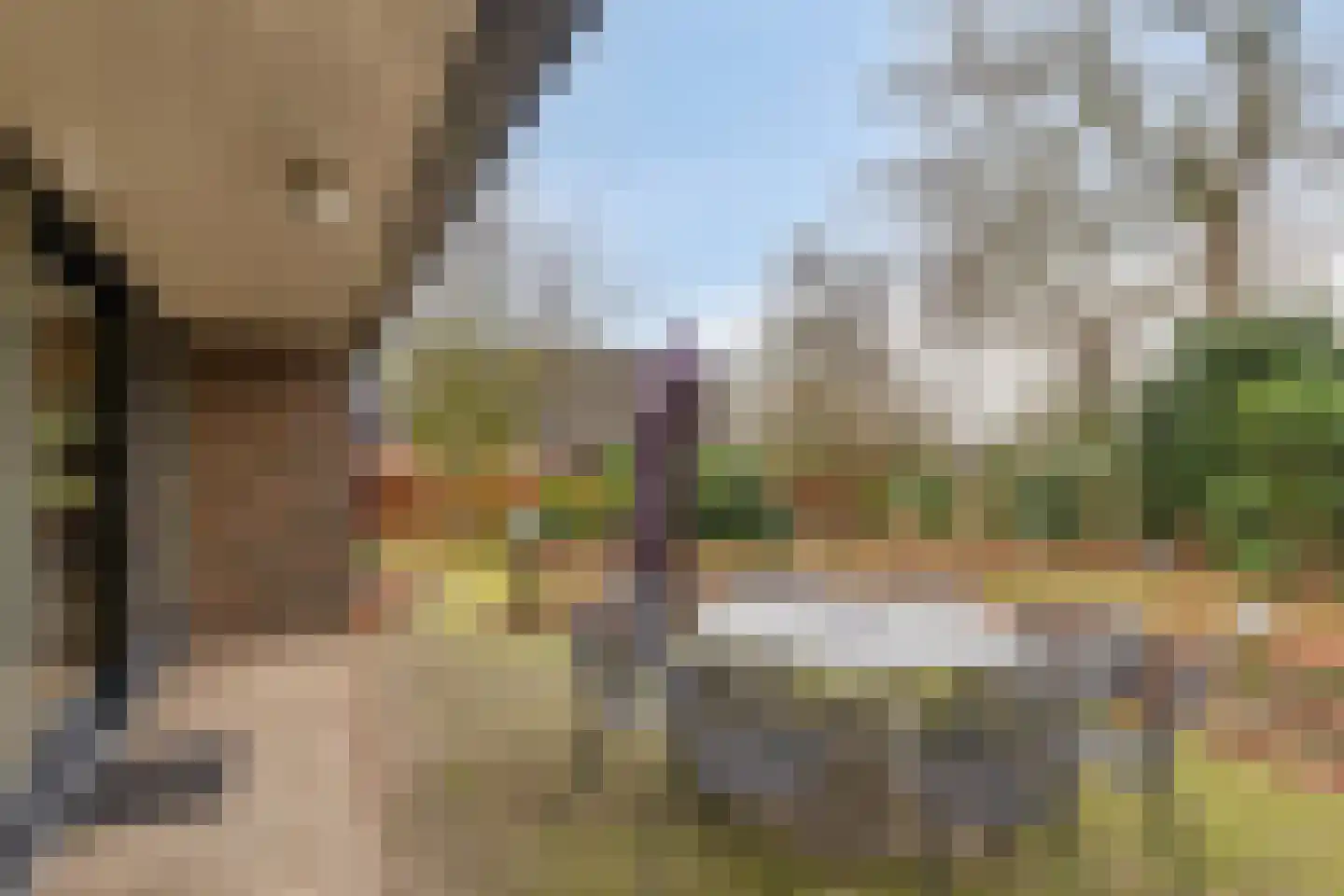 Het Lage Holt 14 Hoogeveen thumbnail 39