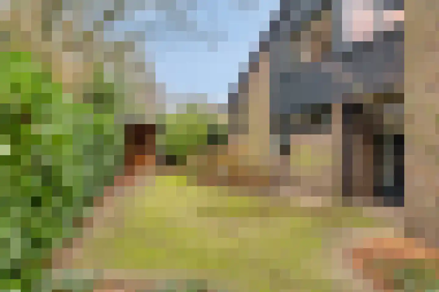 Het Lage Holt 14 Hoogeveen thumbnail 40