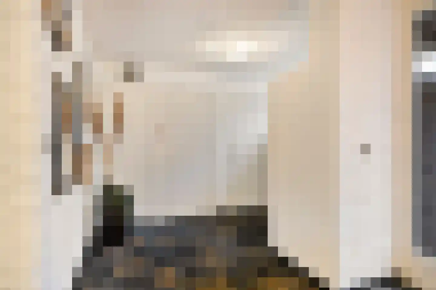 Het Lage Holt 14 Hoogeveen thumbnail 5