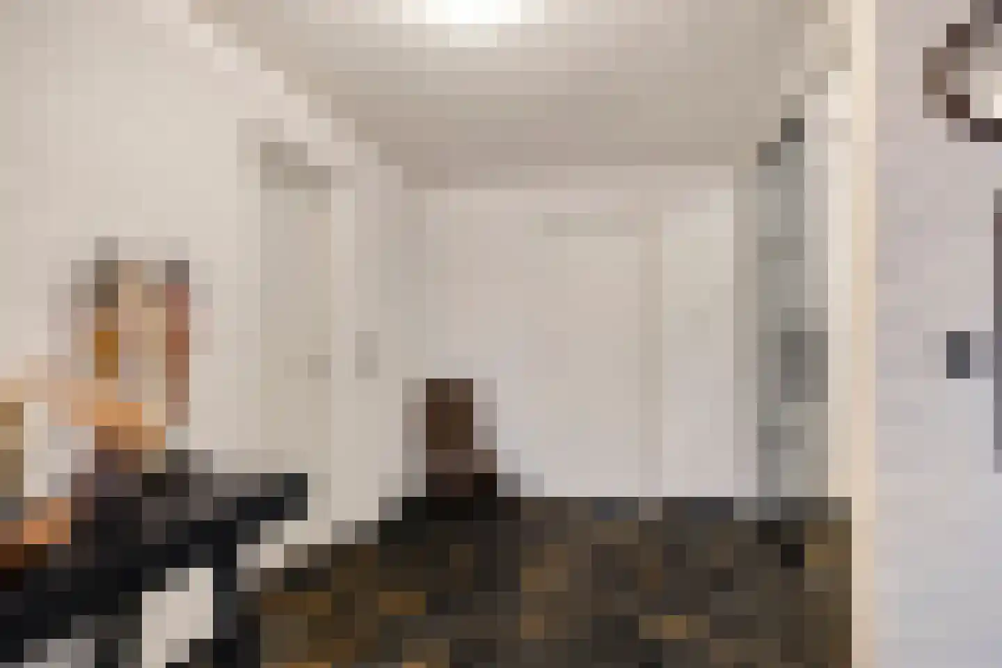 Het Lage Holt 14 Hoogeveen thumbnail 6