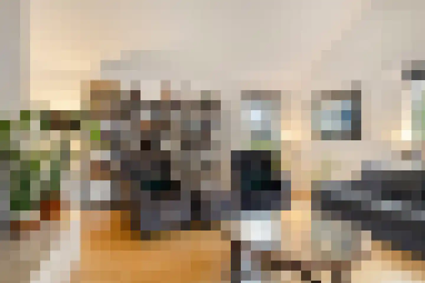 Het Lage Holt 14 Hoogeveen thumbnail 8