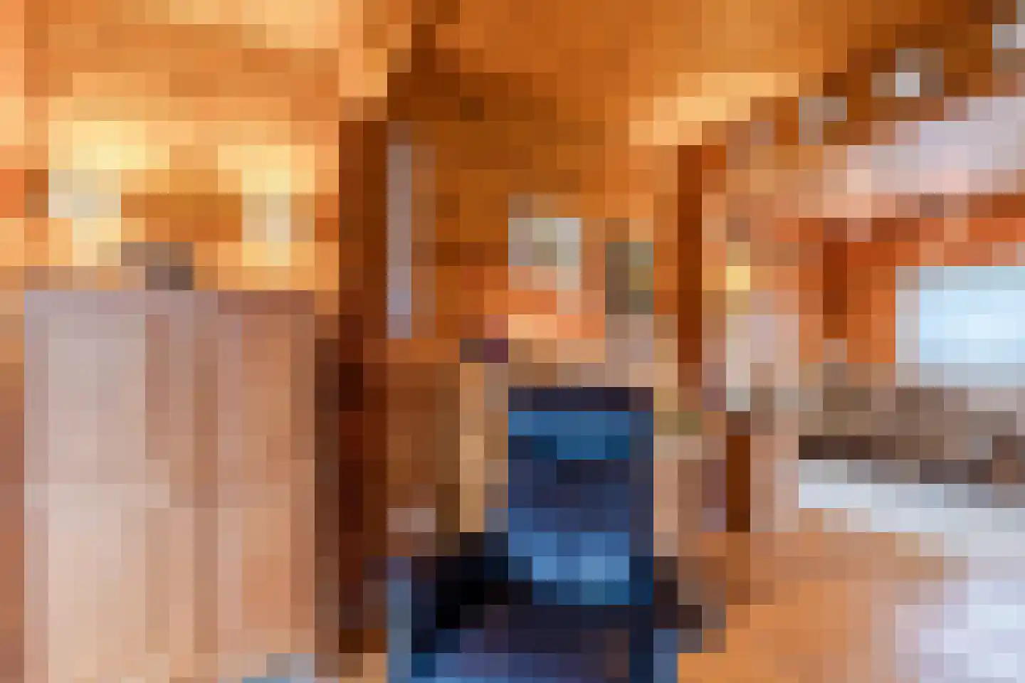 Het Lage Holt 19 Hoogeveen thumbnail 10