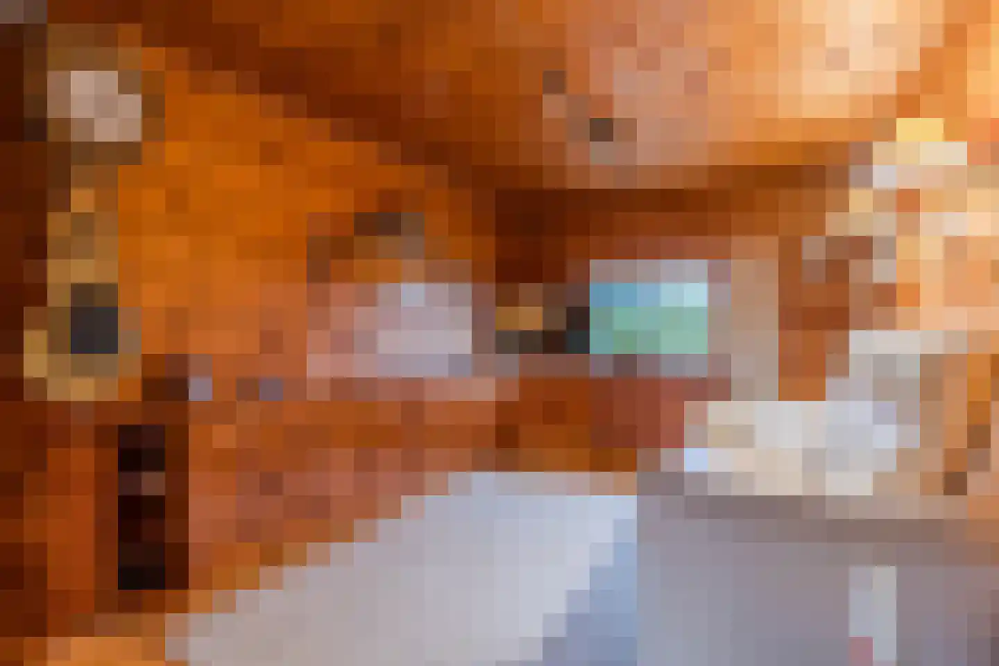 Het Lage Holt 19 Hoogeveen thumbnail 11