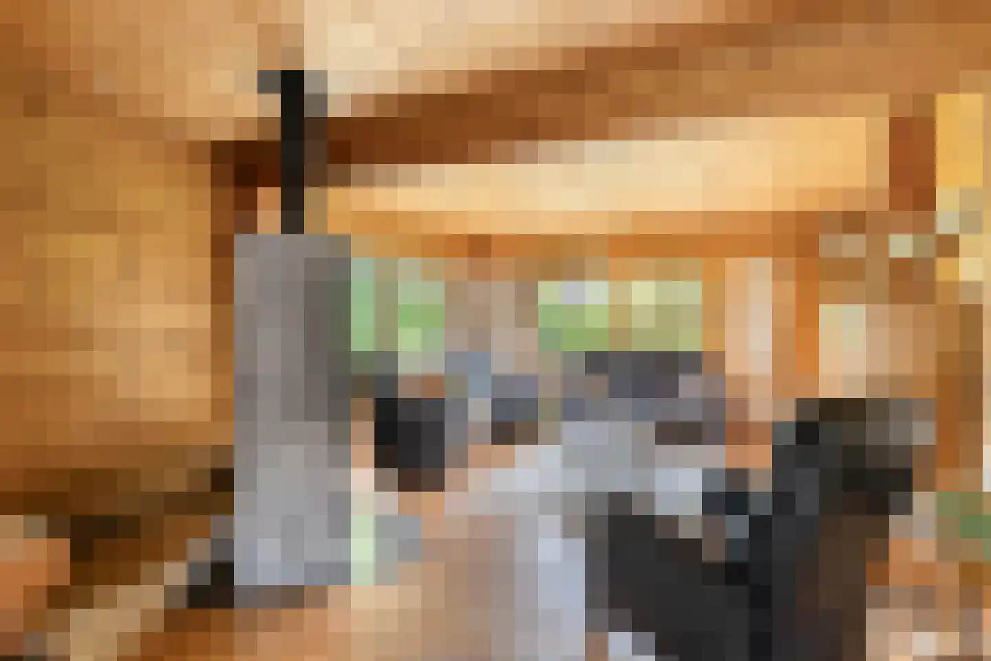 Het Lage Holt 19 Hoogeveen thumbnail 13