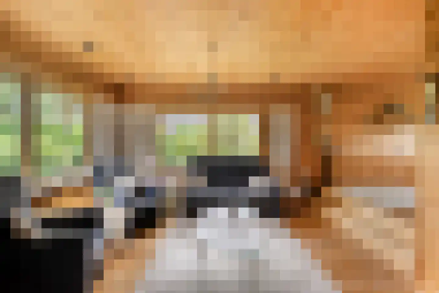 Het Lage Holt 19 Hoogeveen thumbnail 14