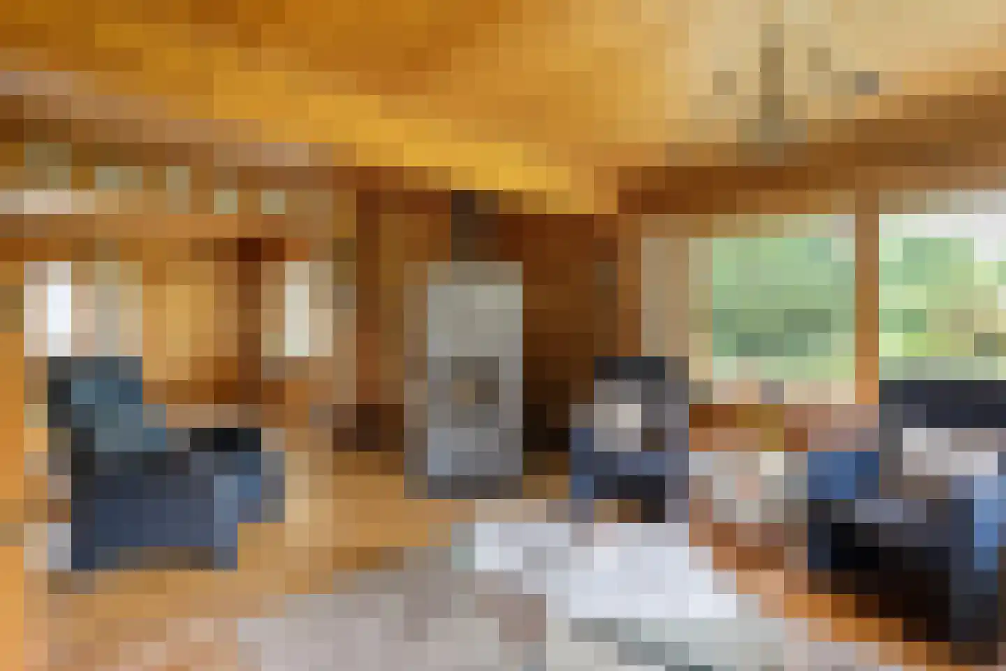 Het Lage Holt 19 Hoogeveen thumbnail 15