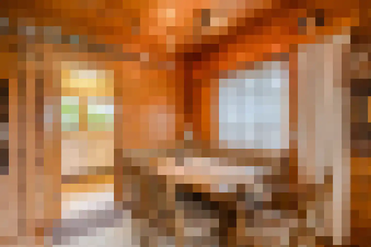 Het Lage Holt 19 Hoogeveen thumbnail 15