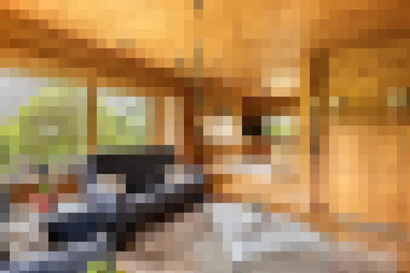 Het Lage Holt 19 Hoogeveen thumbnail 16