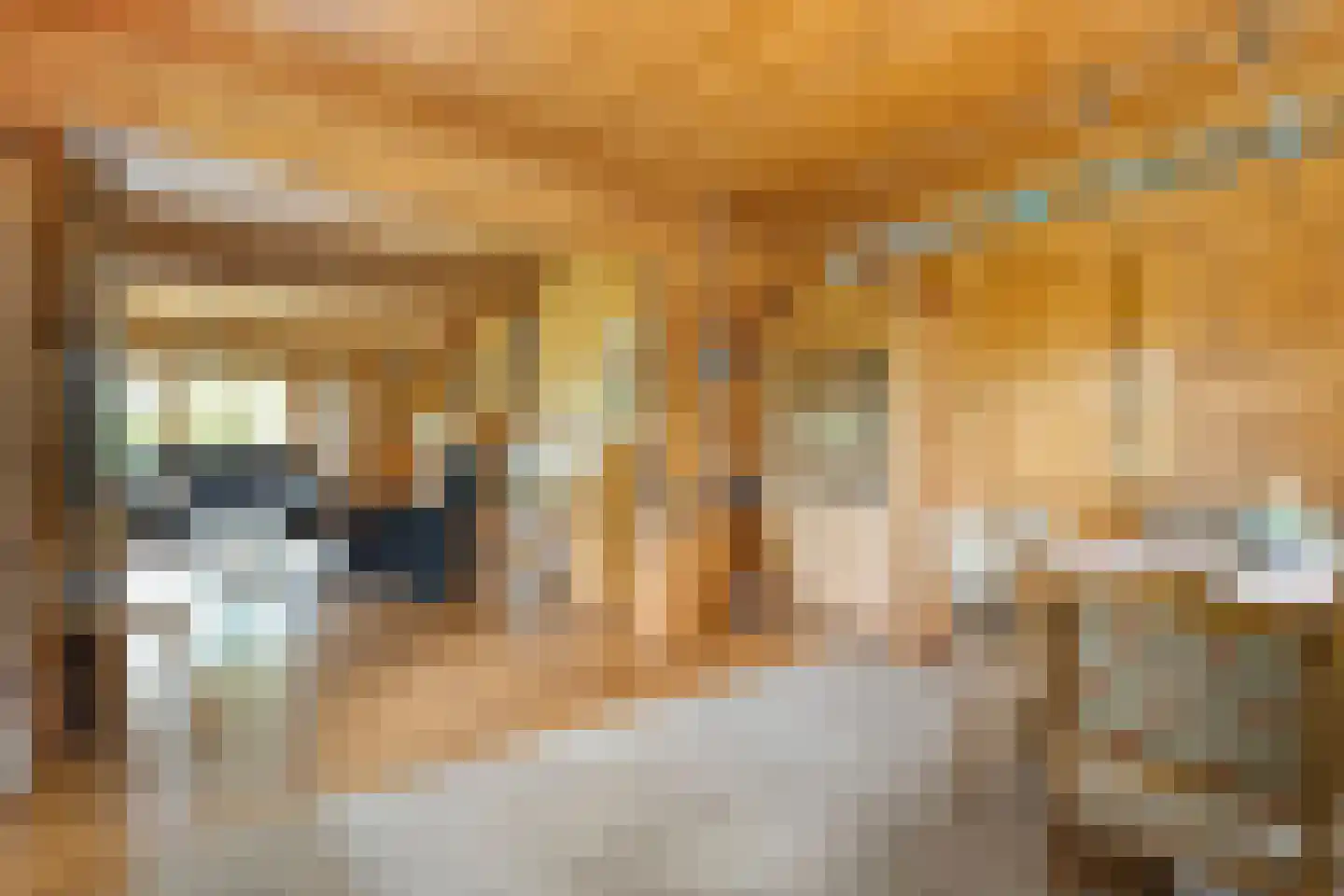 Het Lage Holt 19 Hoogeveen thumbnail 17