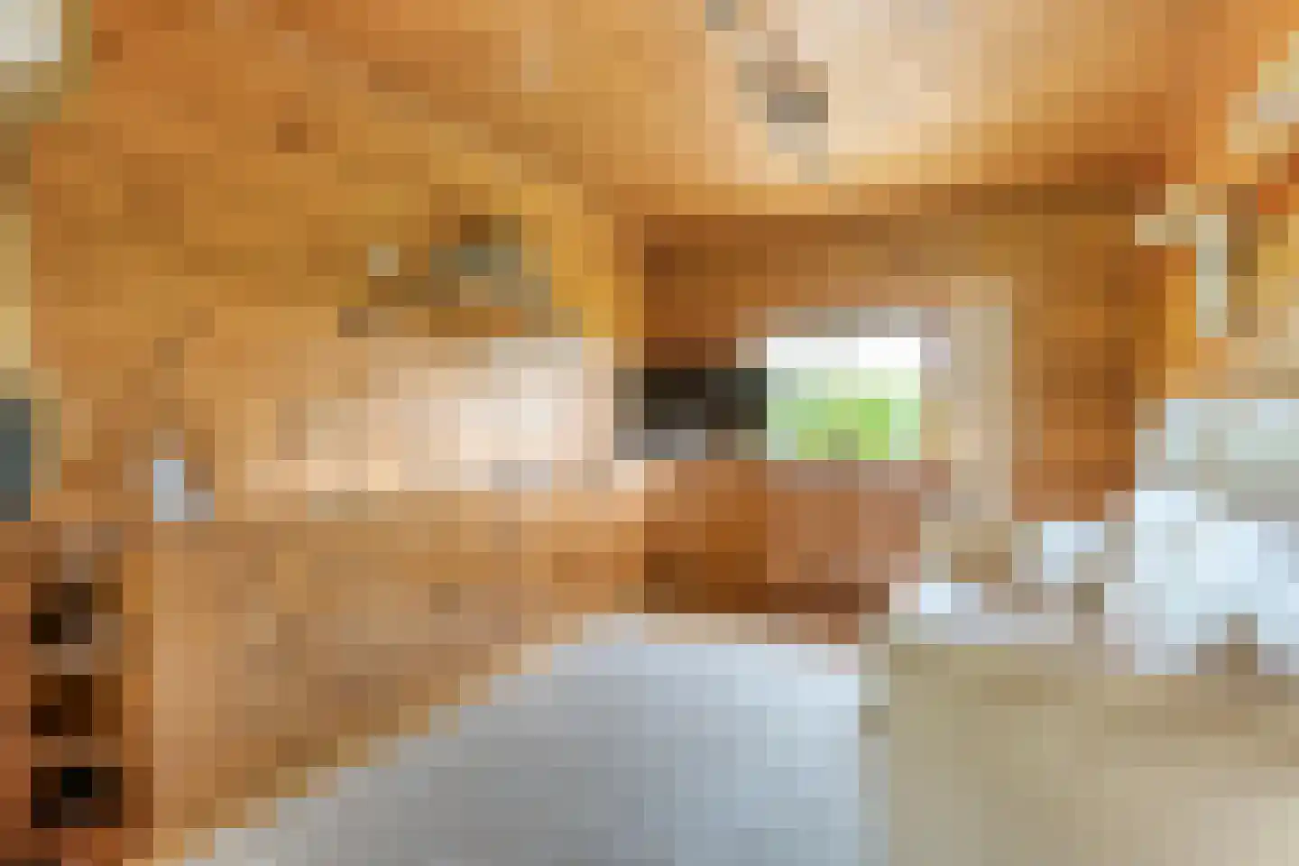 Het Lage Holt 19 Hoogeveen thumbnail 21