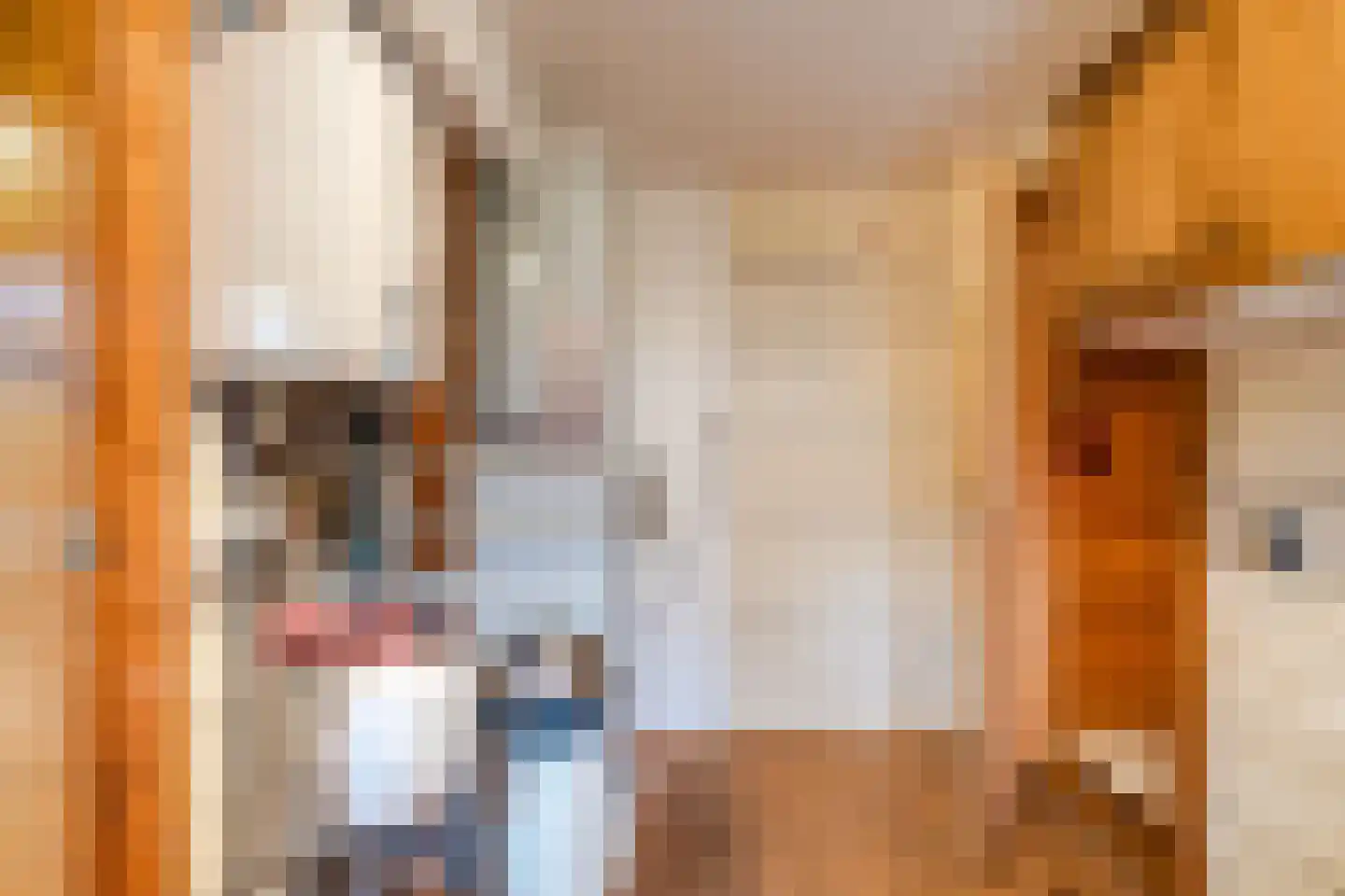Het Lage Holt 19 Hoogeveen thumbnail 22