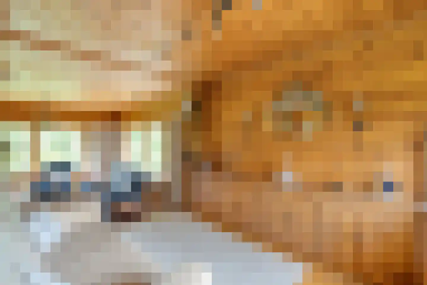 Het Lage Holt 19 Hoogeveen thumbnail 23