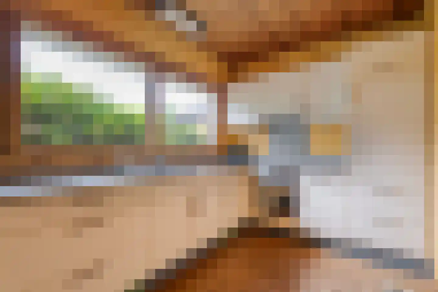 Het Lage Holt 19 Hoogeveen thumbnail 26