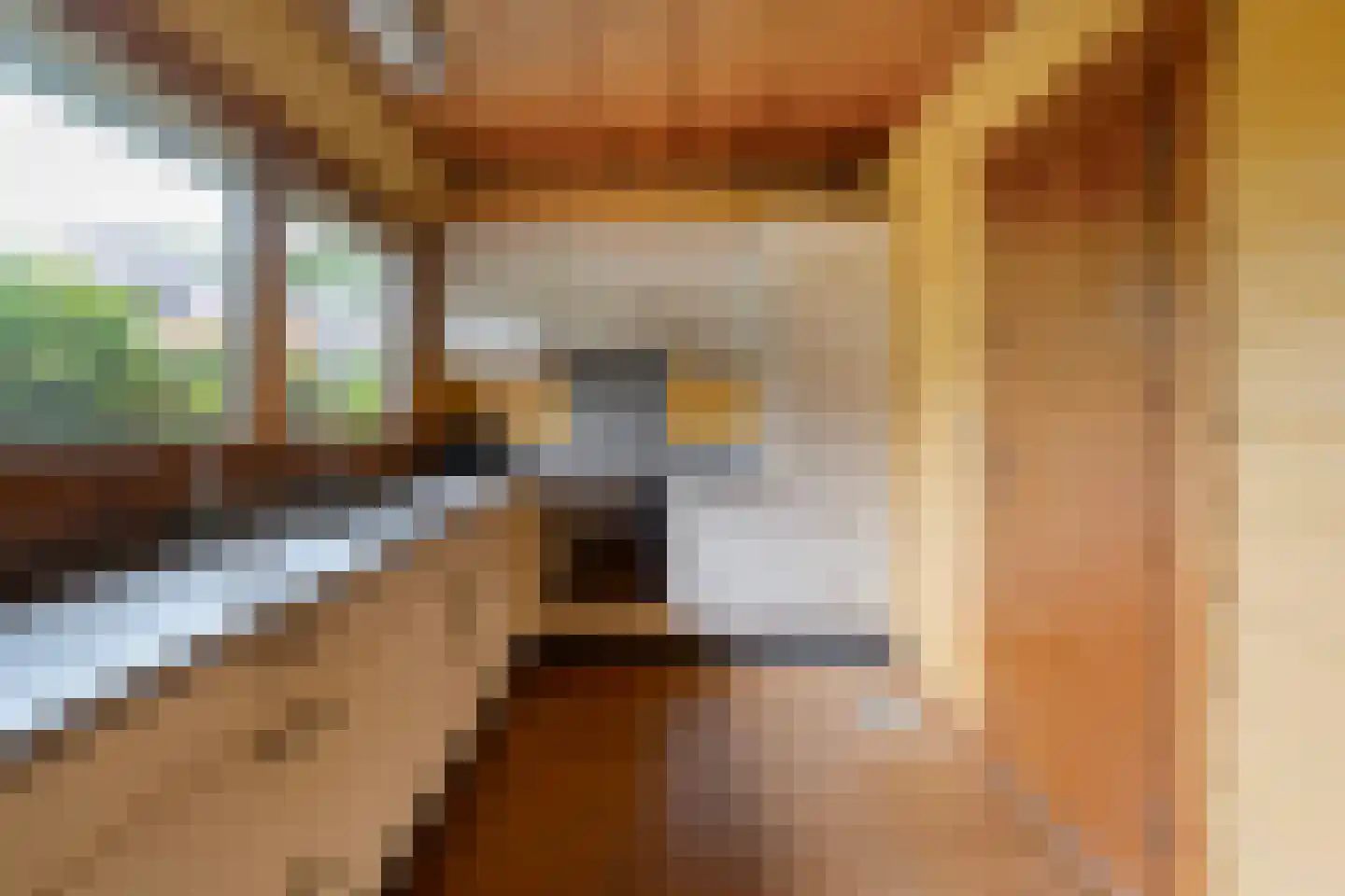 Het Lage Holt 19 Hoogeveen thumbnail 28