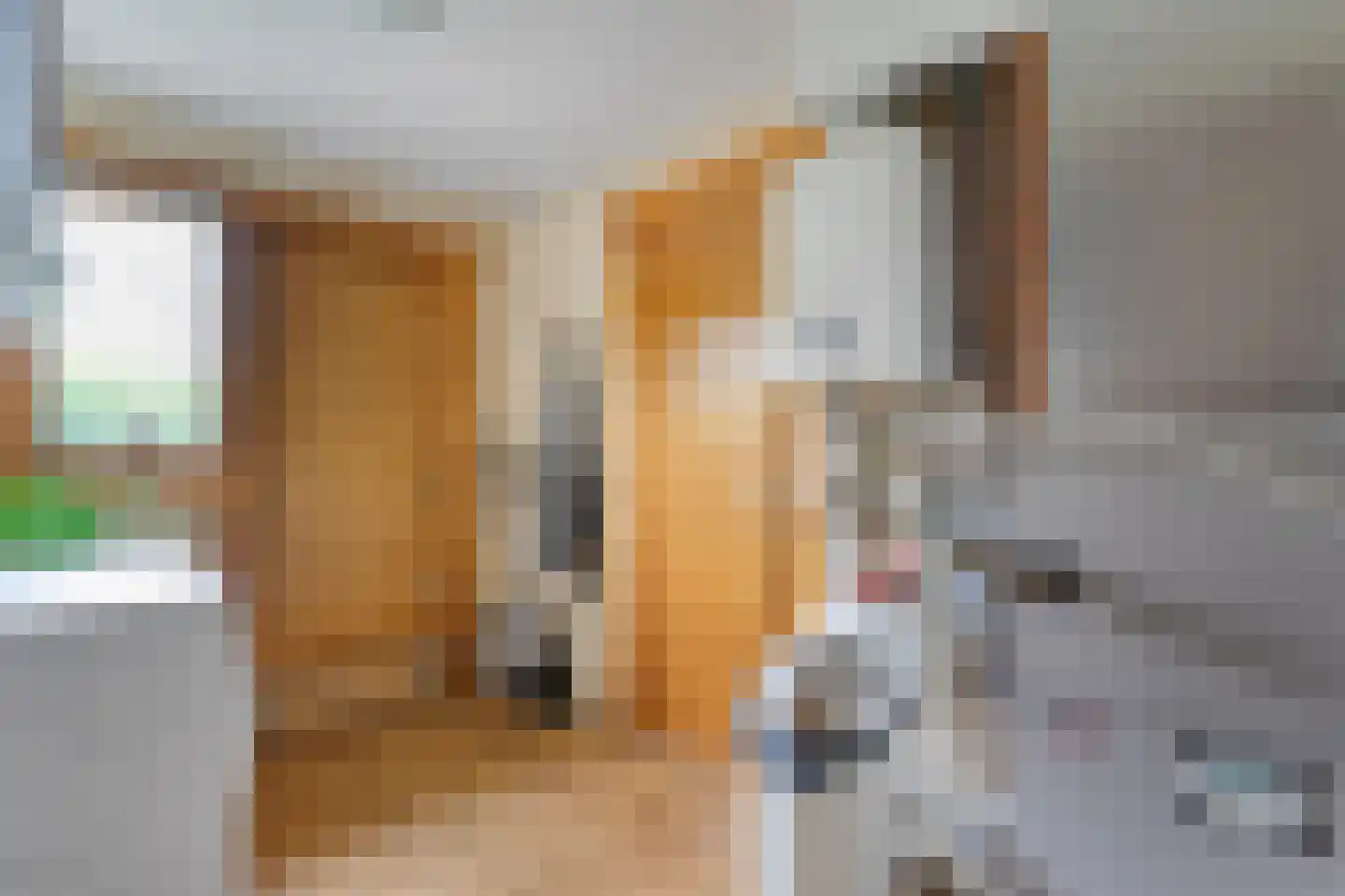 Het Lage Holt 19 Hoogeveen thumbnail 29