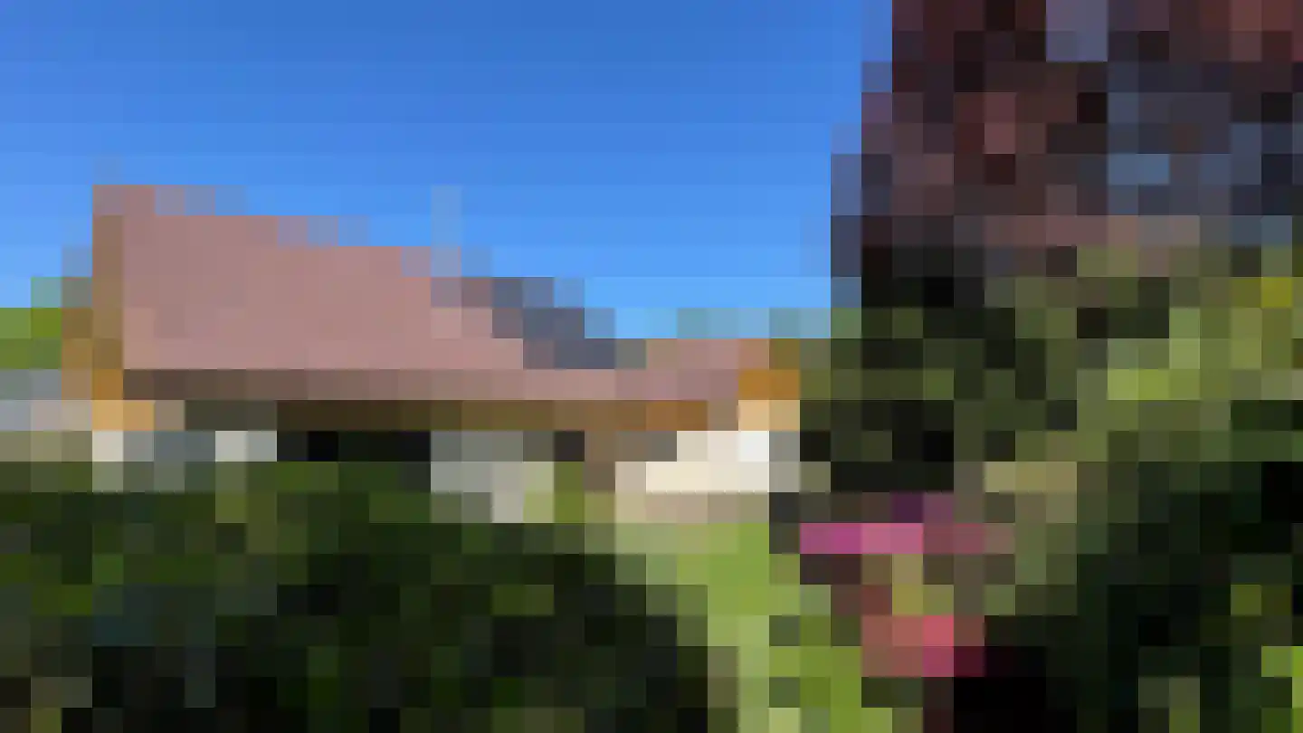 Het Lage Holt 19 Hoogeveen thumbnail 32