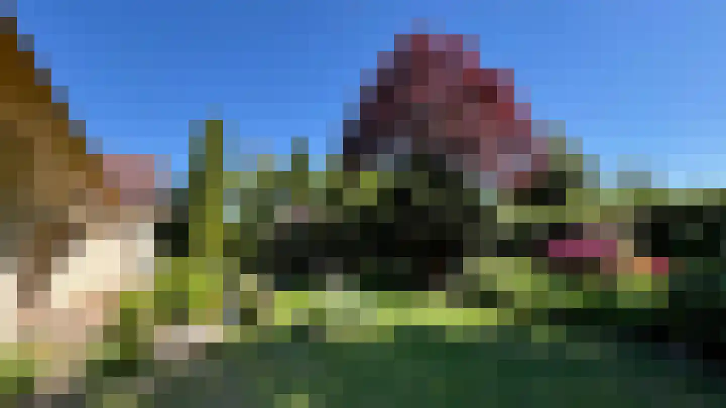 Het Lage Holt 19 Hoogeveen thumbnail 34