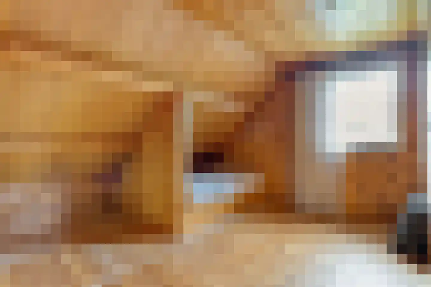 Het Lage Holt 19 Hoogeveen thumbnail 36