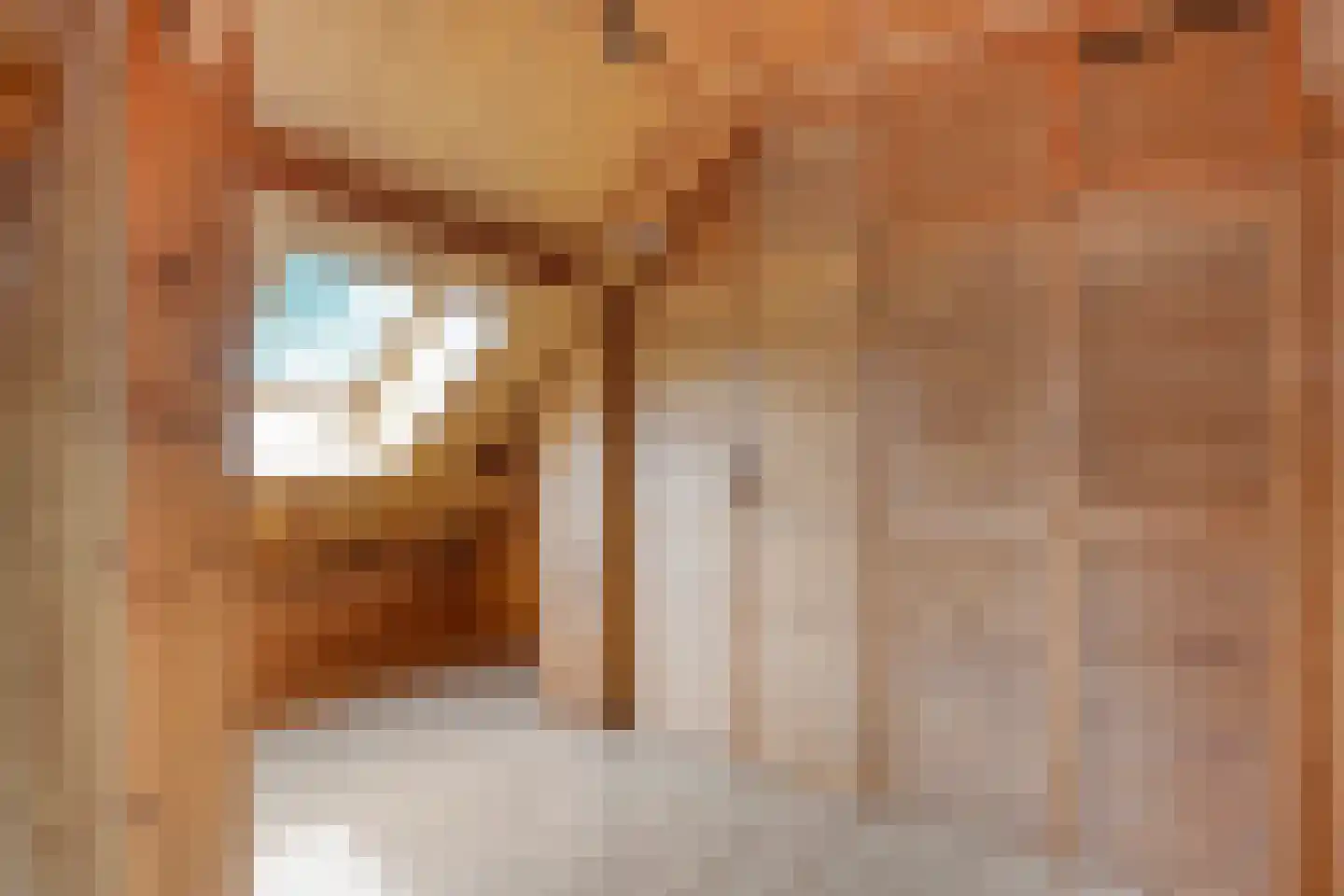 Het Lage Holt 19 Hoogeveen thumbnail 38