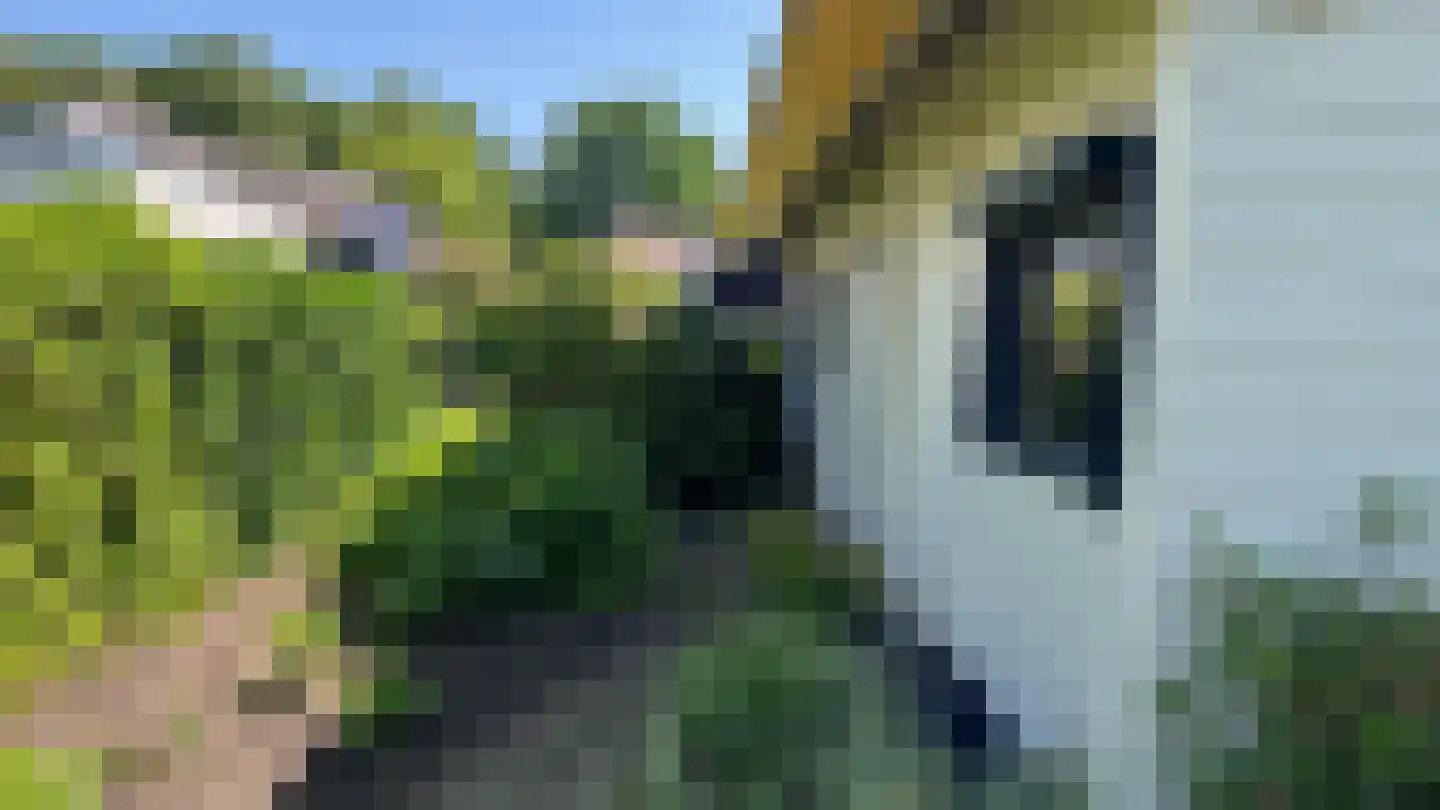 Het Lage Holt 19 Hoogeveen thumbnail 38